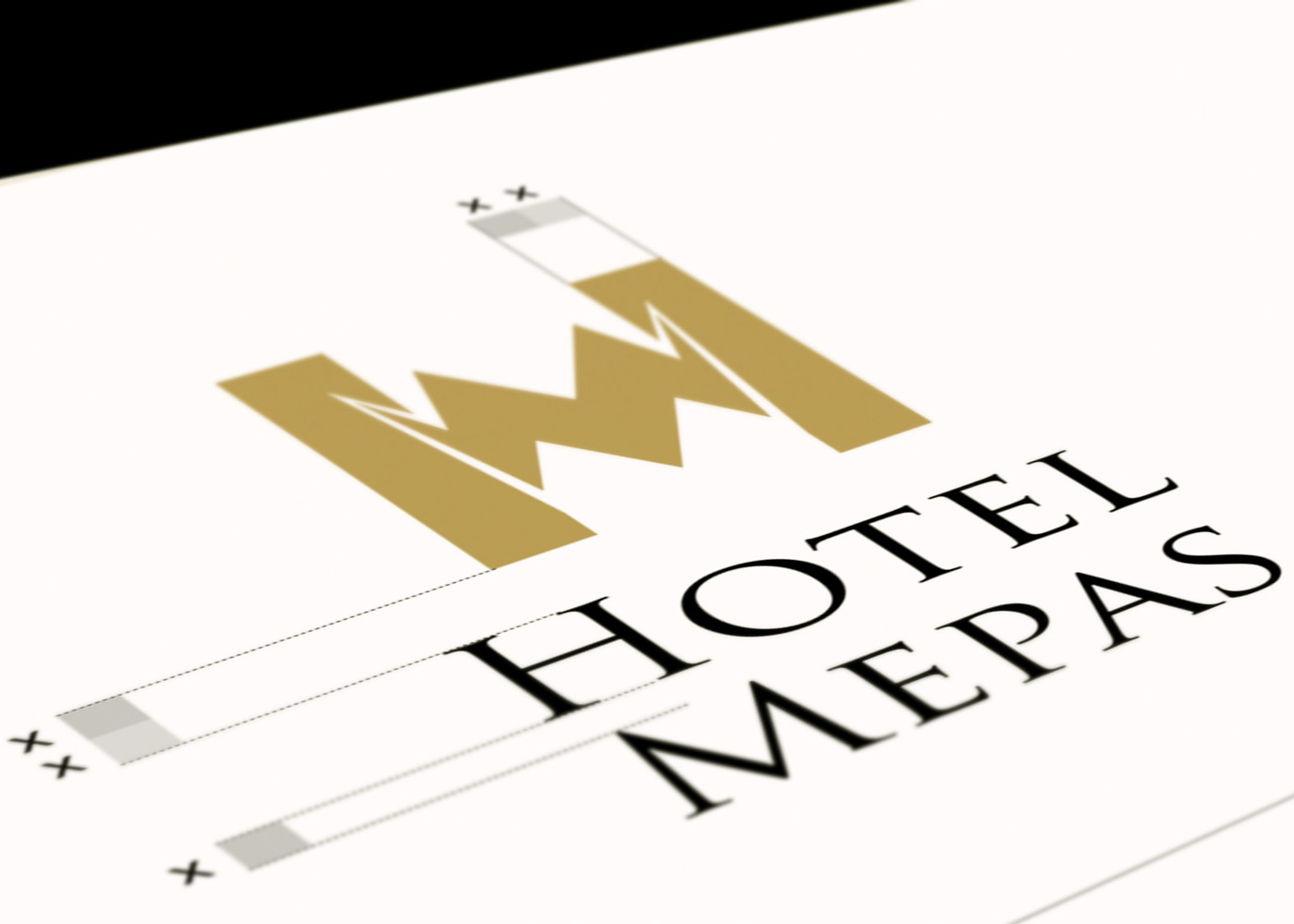Knjiga grafičkih standarda i dizajn web stranice hotela Mepas
